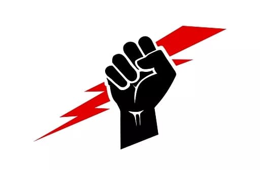 FF INSTAN-icon
